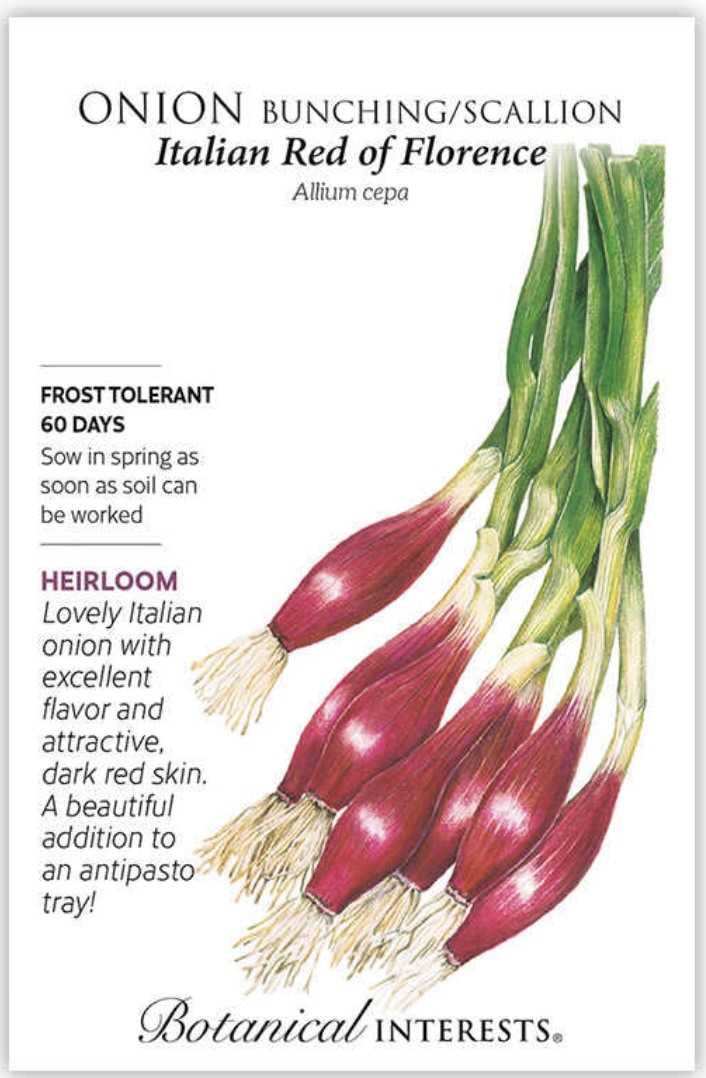 Red Italian Bunching Onion Seeds