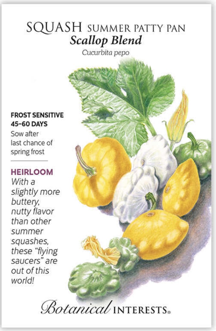 Scallop Blend Summer Squash Seeds