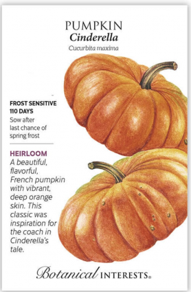 French Cinderella Pumpkin Seeds