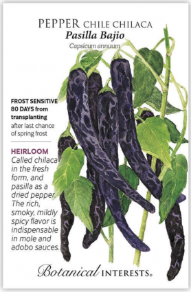 Pasilla Bajio Chilaca Chile Pepper Seeds