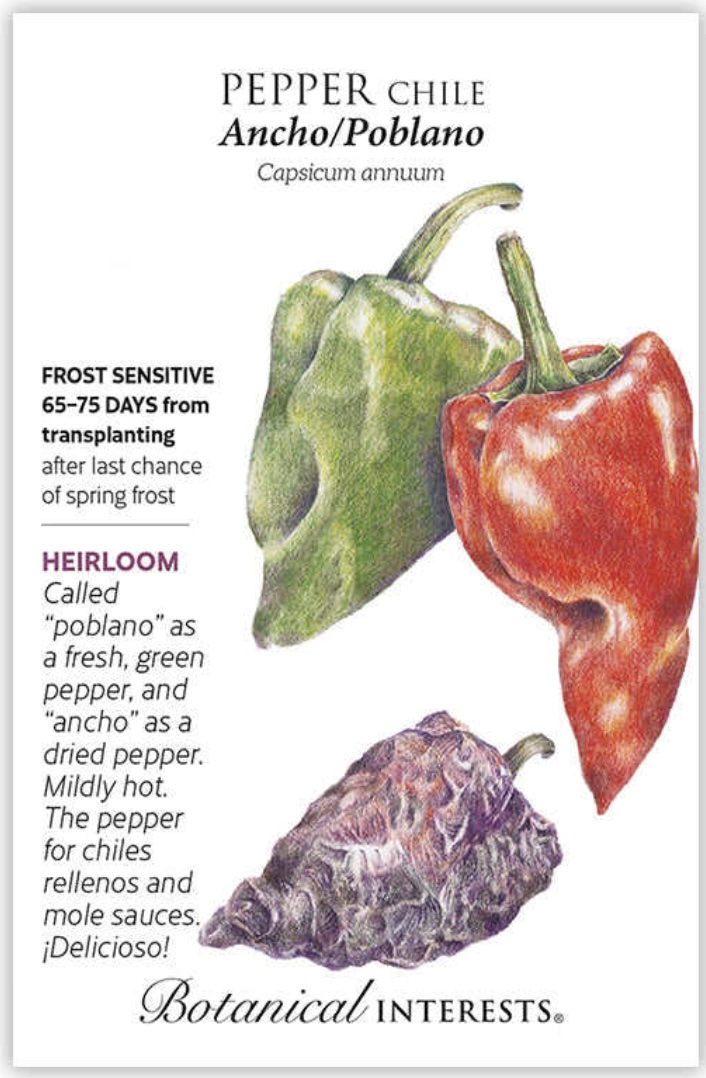 Ancho/Poblano Chile Pepper Seeds