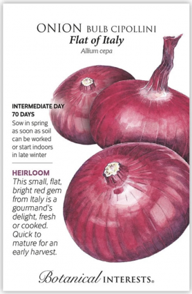 Flat of Italy Cipollini Onion Seeds
