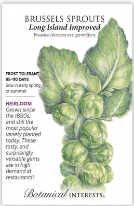 Long Island Improved Brussels Sprouts Seeds