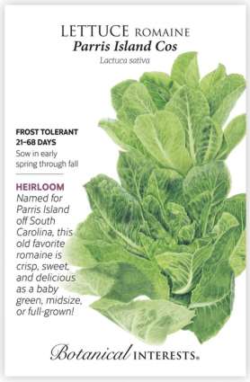 Parris Island Cos Romaine Lettuce Seeds