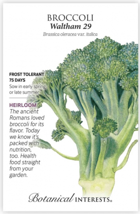 Waltham 29 Broccoli Seeds