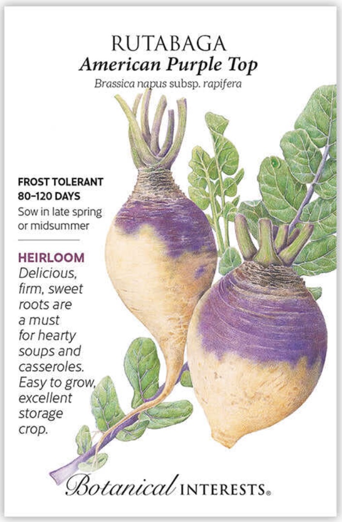 American Purple Top Rutabaga Seeds