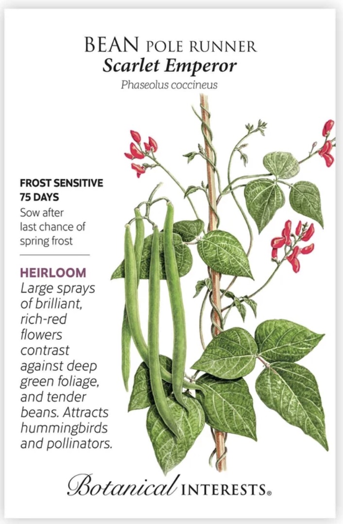 Scarlet Emperor Pole Runner Bean Seeds