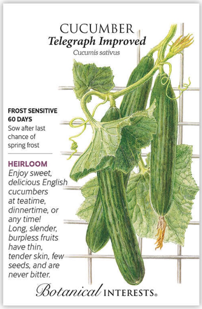 Scarlet Emperor Pole Runner Bean Seeds