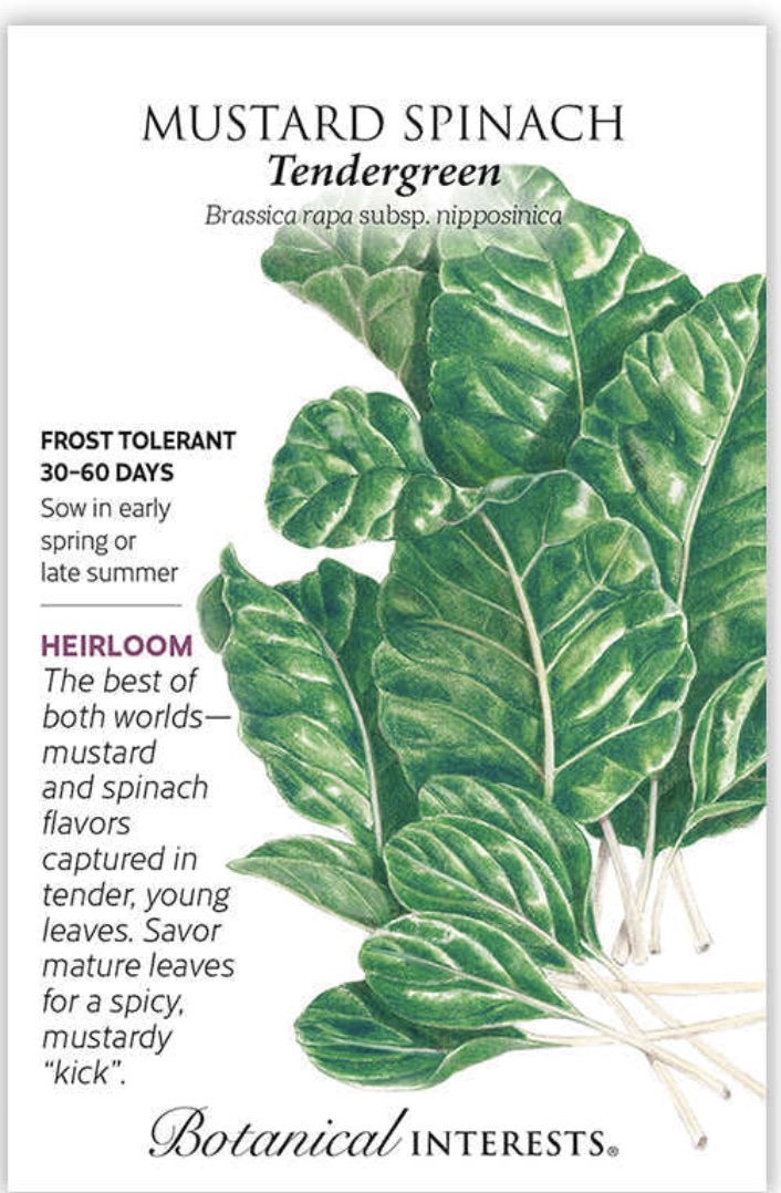Tendergreen Mustard Spinach Seeds
