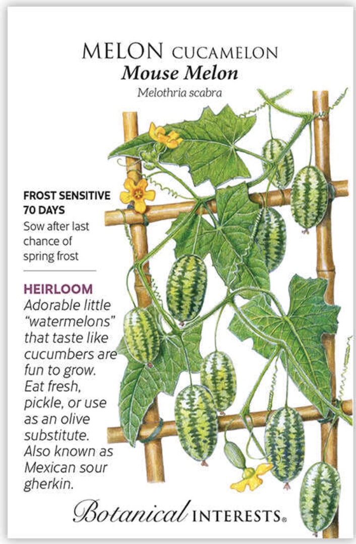 Mouse Melon Cucamelon Seeds