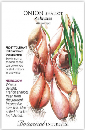 Zebrune Shallot Onion Seeds
