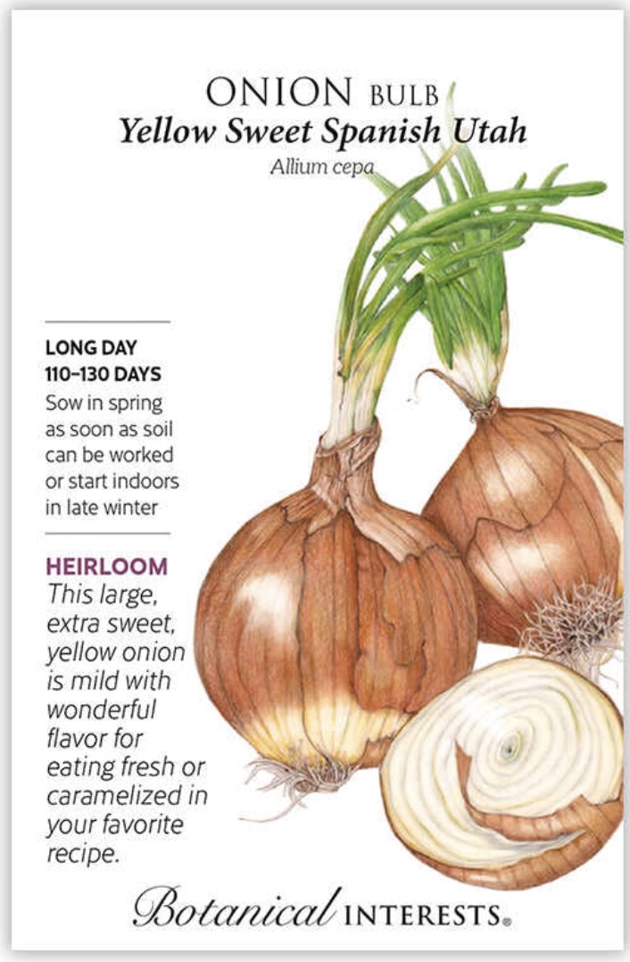 Yellow Sweet Spanish Utah Onion Seeds