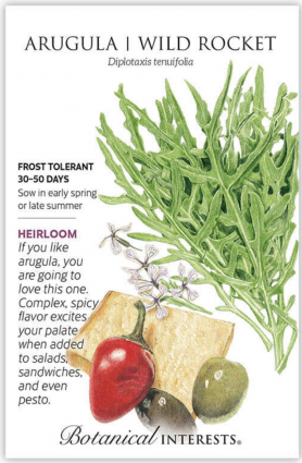 Wild Rocket Arugula Seeds