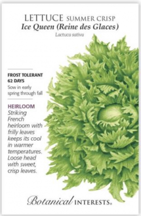 Ice Queen Crisphead Lettuce Seeds