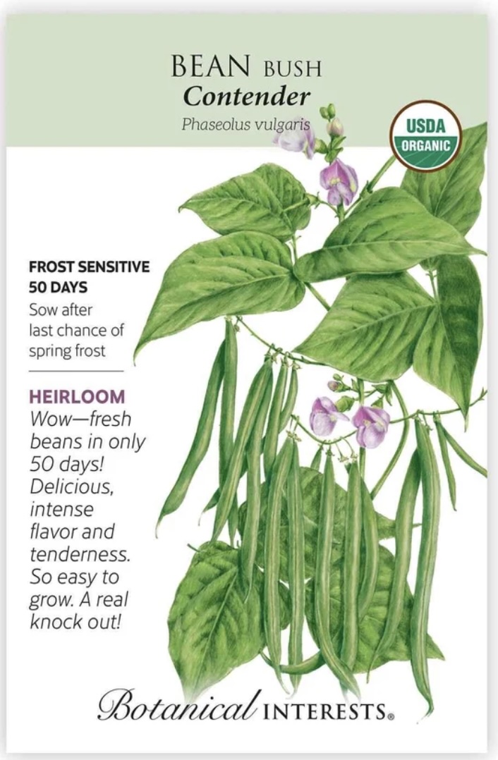 Organic Contender Bush Bean Seeds