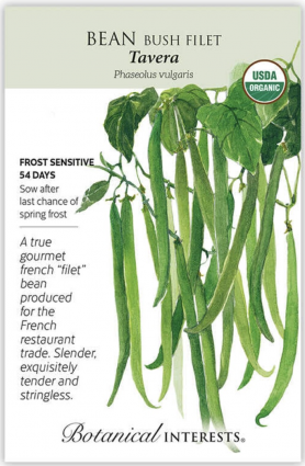 Organic Tavera Filet Bush Bean Seeds