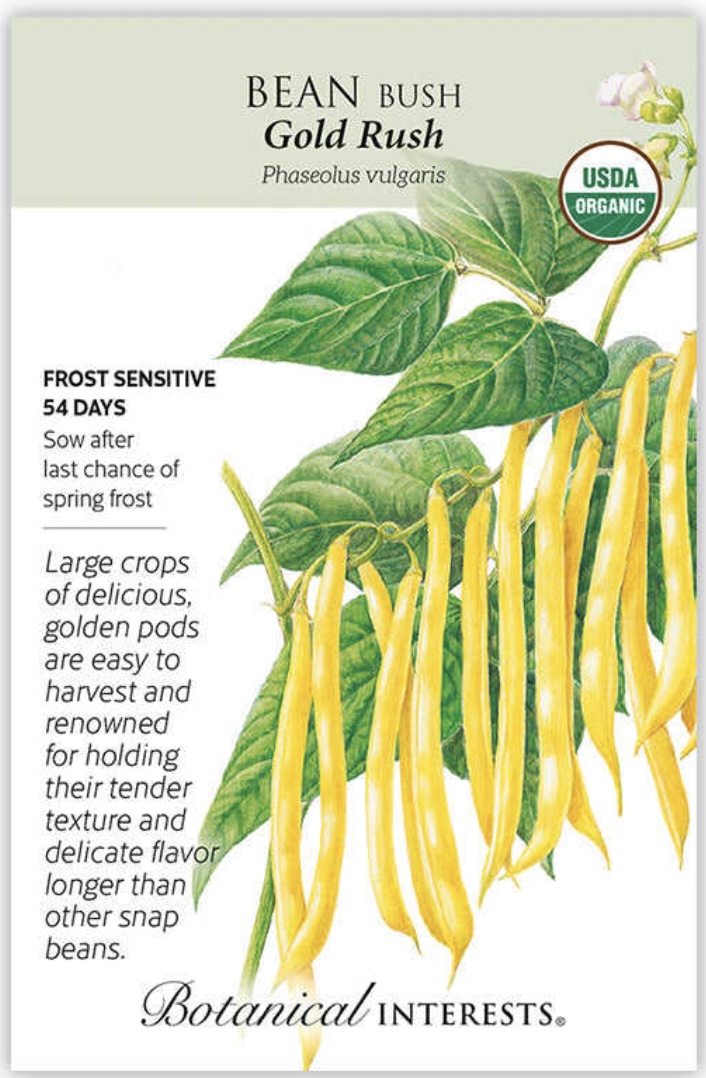 Organic Gold Rush Bush Bean Seeds
