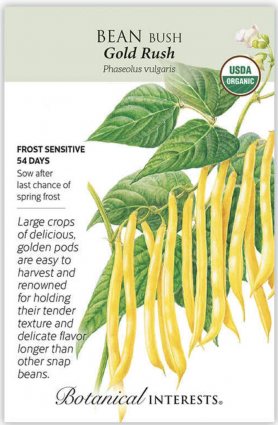 Organic Gold Rush Bush Bean Seeds