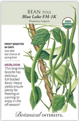 Organic Blue Lake FM-1K Pole Bean Seeds