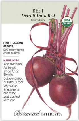 Organic Detroit Dark Red Beet Seeds