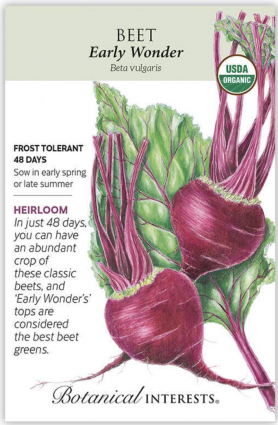 Organic Early Wonder Beet Seeds