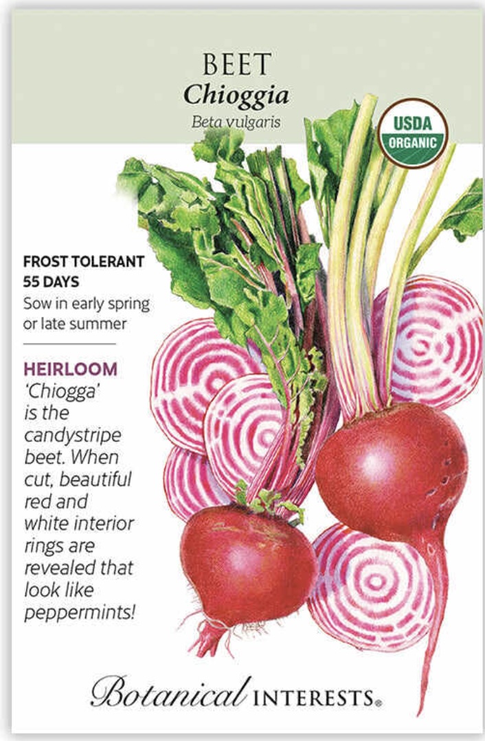 Organic Chioggia Beet Seeds