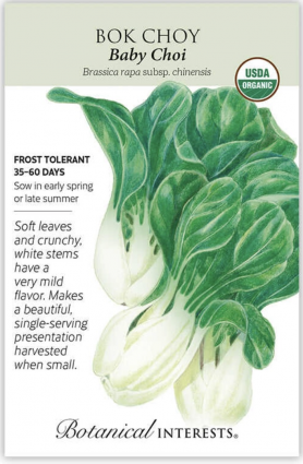 Organic Baby Choi Bok Choy Seeds