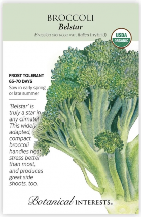 Organic Belstar Broccoli Seeds