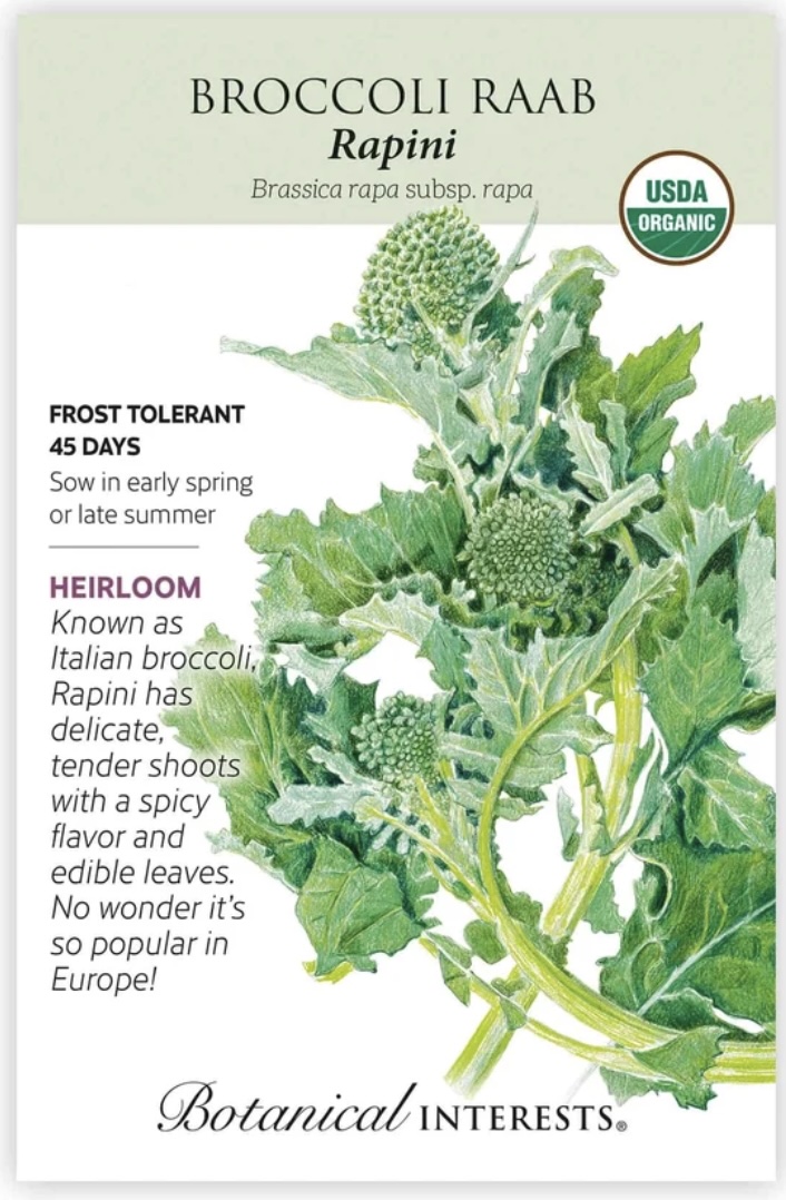 Organic Rapini Broccoli Raab Seeds