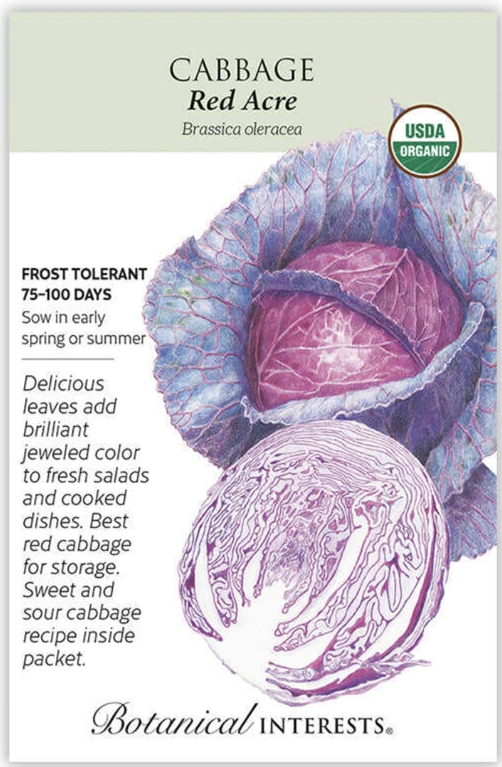Organic Red Acre Cabbage Seeds