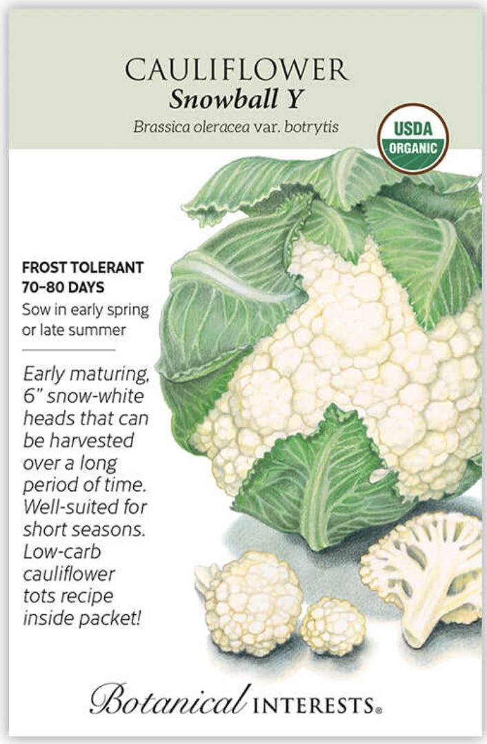 Organic Snowball Y Cauliflower Seeds