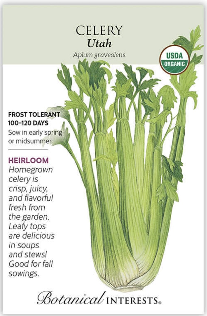 Organic Utah Celery Seeds