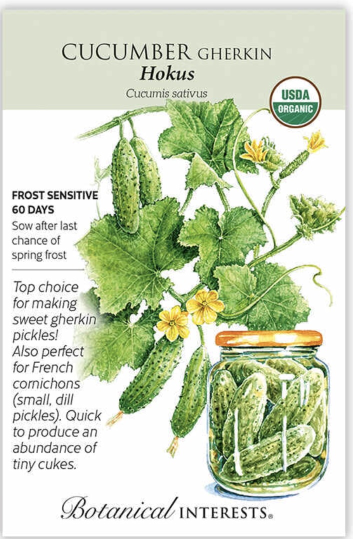 Organic Hokus Gherkin Cucumber Seeds