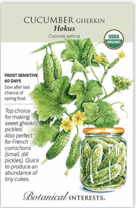 Organic Hokus Gherkin Cucumber Seeds