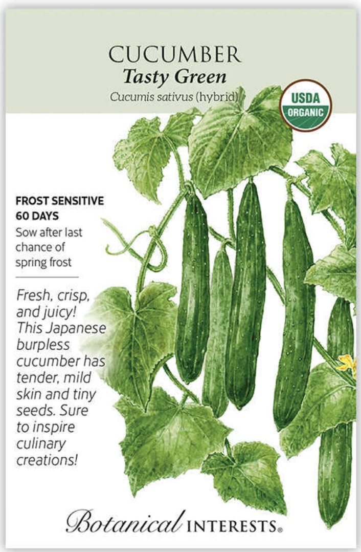 Organic Tasty Green Cucumber Seeds