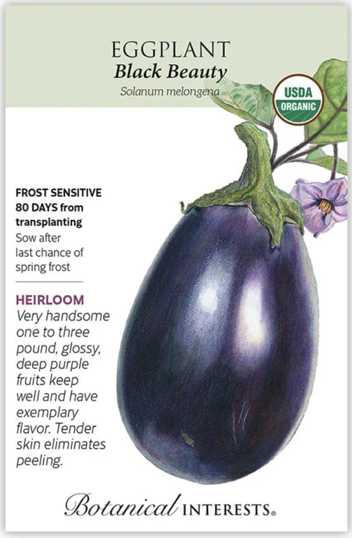 Organic Black Beauty Eggplant Seeds