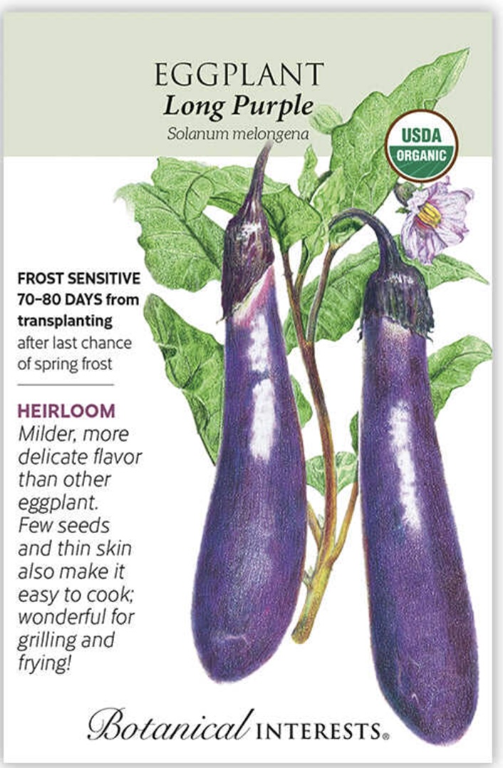 Organic Long Purple Eggplant Seeds