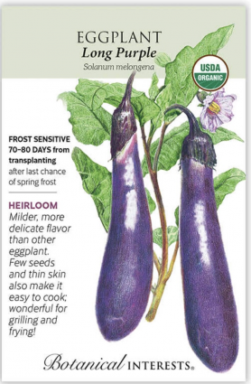 Organic Long Purple Eggplant Seeds