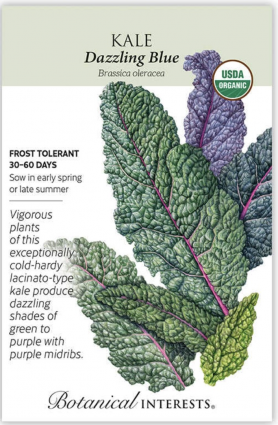 Organic Dazzling Blue Kale Seeds