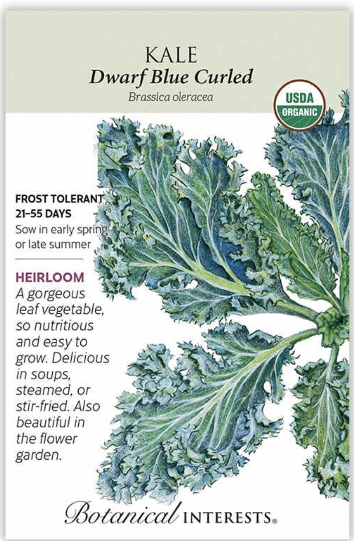 Organic Dwarf Blue Curled Kale Seeds