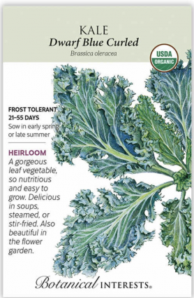 Organic Dwarf Blue Curled Kale Seeds