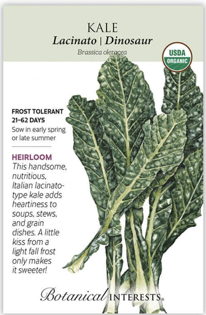 Organic Lacinato Dinosaur Kale Seeds