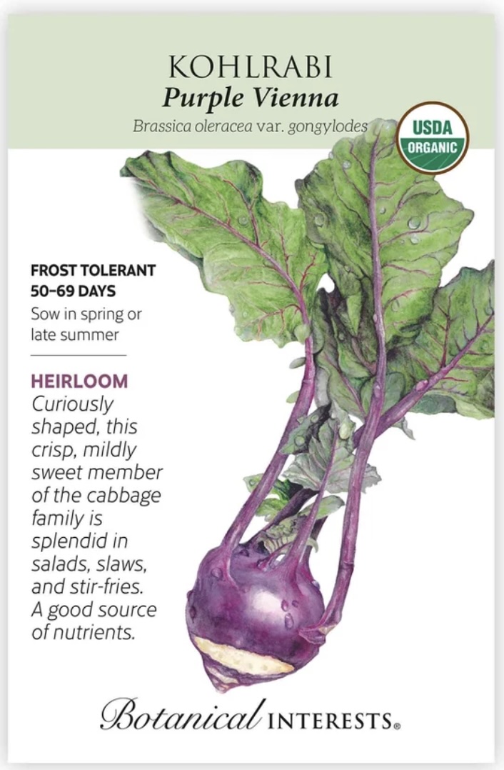 Organic Purple Vienna Kohlrabi Seeds