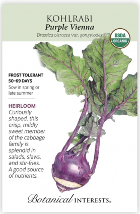Organic Purple Vienna Kohlrabi Seeds
