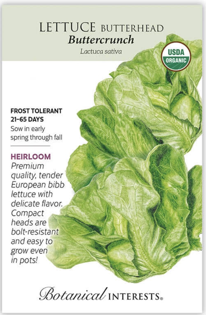 Organic Buttercrunch Butterhead Lettuce Seeds