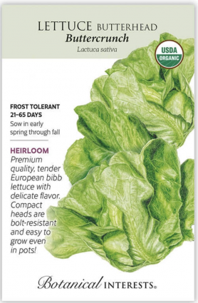 Organic Buttercrunch Butterhead Lettuce Seeds