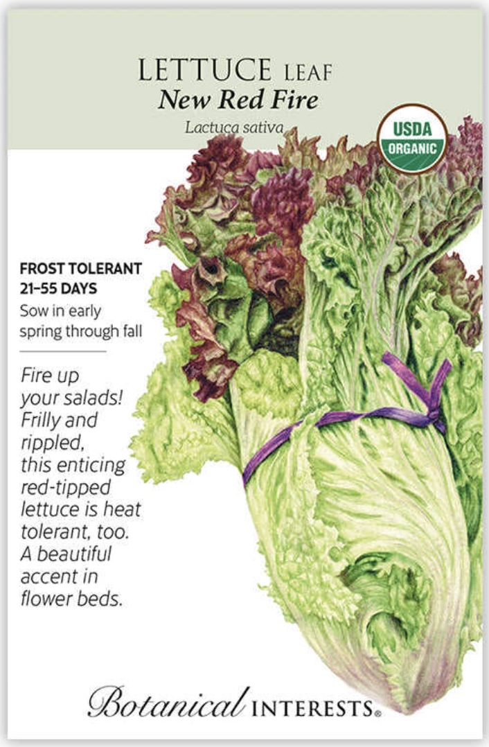 Organic New Red Fire Leaf Lettuce Seeds
