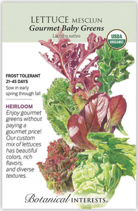 Organic Gourmet Baby Greens Mesclun Lettuce Seeds