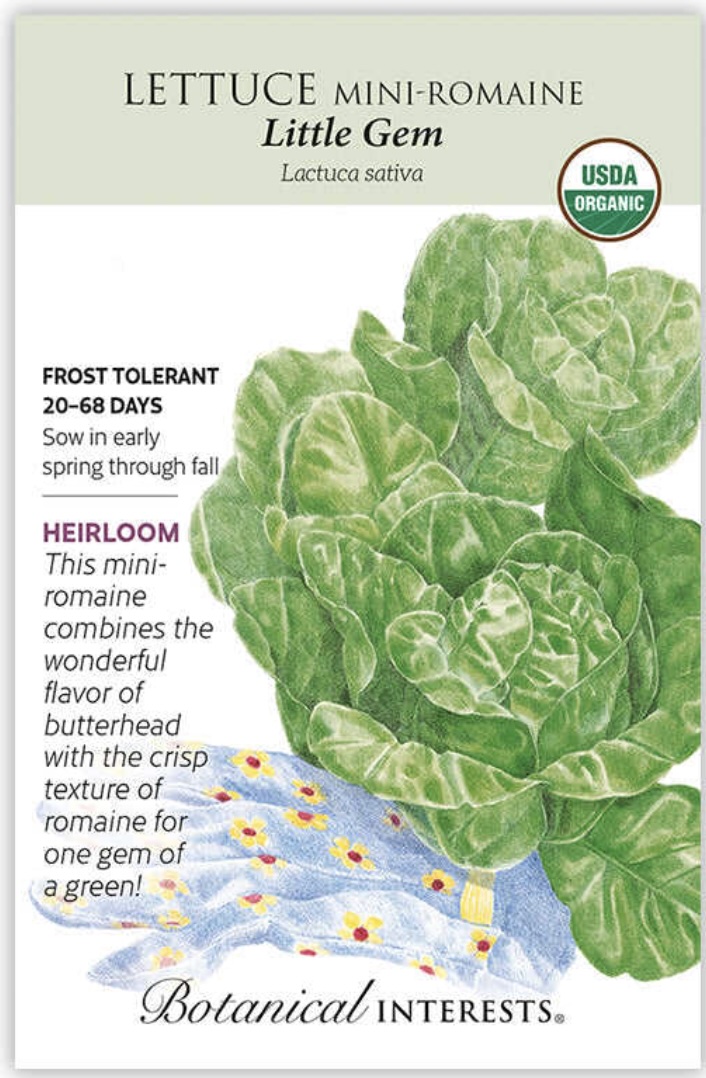 Organic Little Gem Mini-Romaine Lettuce Seeds
