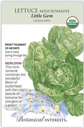 Organic Little Gem Mini-Romaine Lettuce Seeds